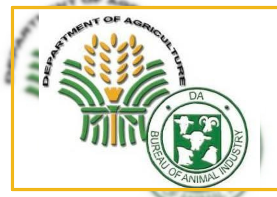 BAI ditches poultry shipment test as no bird flu detected in Central Visayas - related article thumbnail