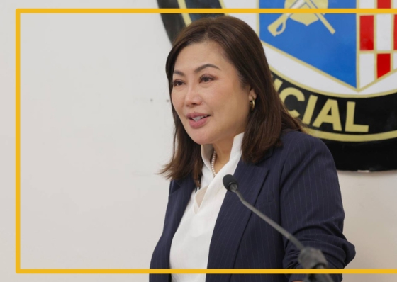 Pam urges Cebu LGUs to designate economic development, investment promotions officer  - related article thumbnail