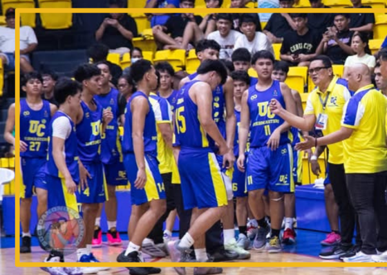 Baby Webmasters, Baby Wildcats rout foes  - related article thumbnail