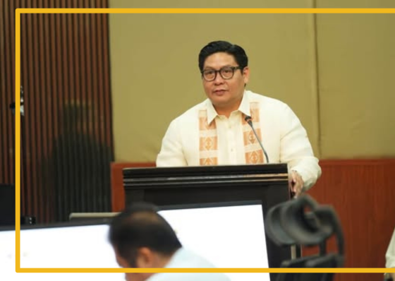 Review of Cebu’s 2027 P14-billion budget set to start - related article thumbnail
