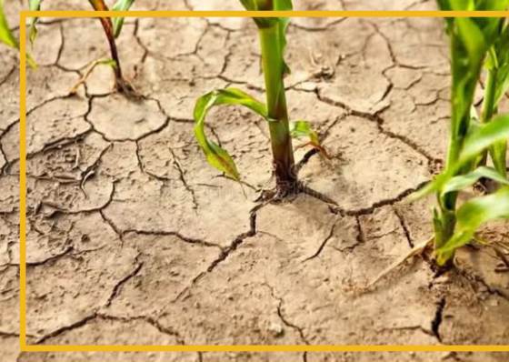 State of calamity declaration eyed in Cebu City amid scorching weather  - related article thumbnail