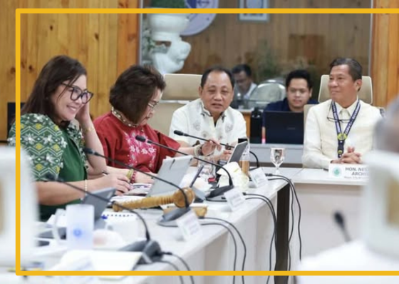 Public consultation on proposed dam project in Cebu set - related article thumbnail
