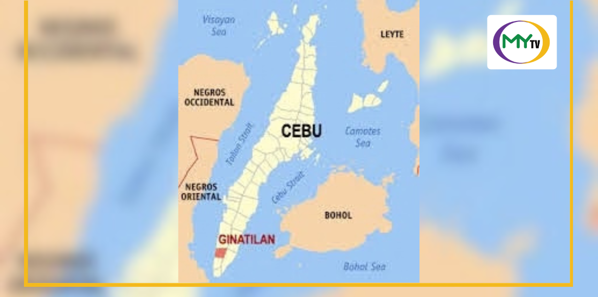 ASF-hit Ginatilan tightens biosecurity measures - related article thumbnail