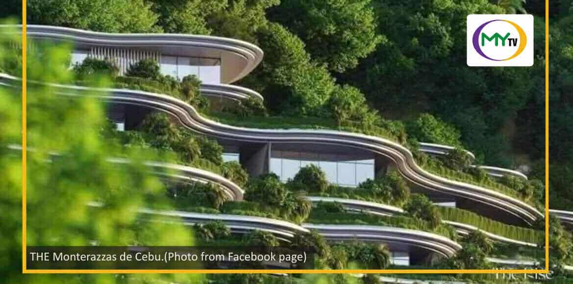 DENR: Close to 1,000 trees cut due to Monterrazas  project - article image