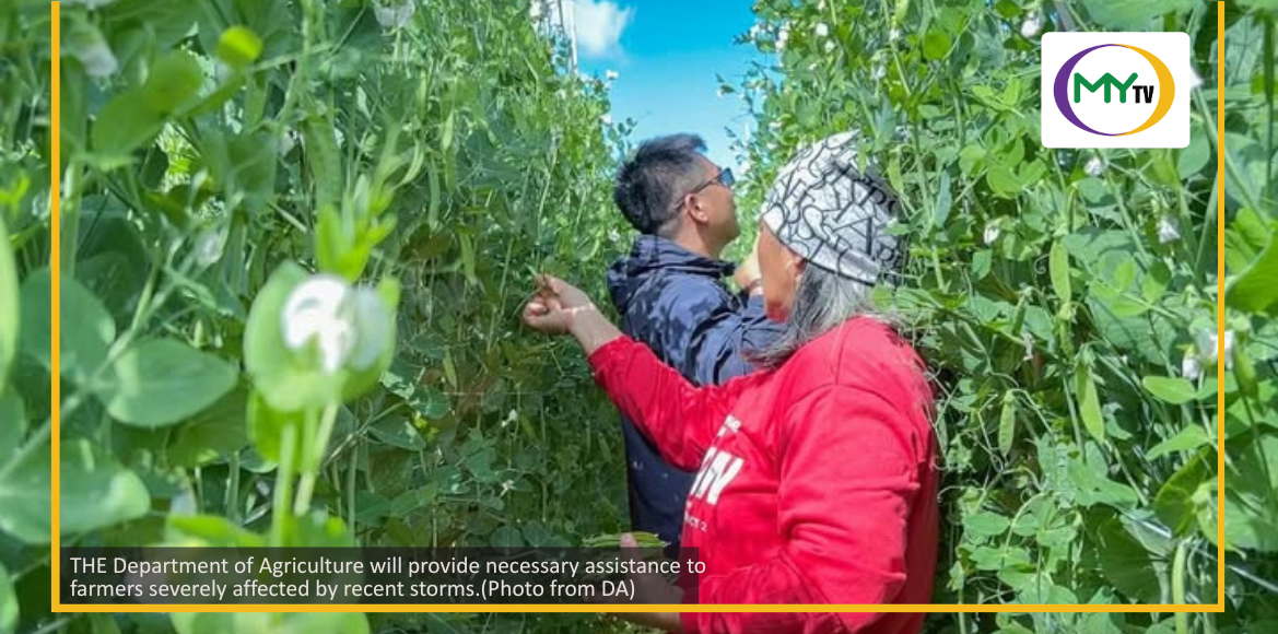 DA readies aid as farm damage from storms hits P135 million - related article thumbnail