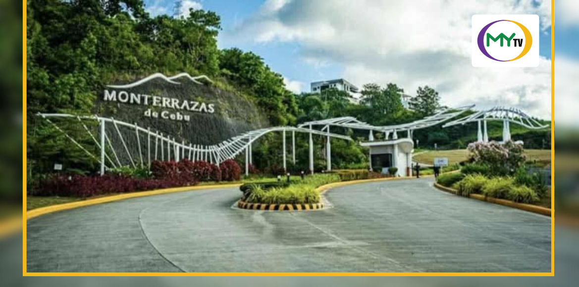 Developer denies 700 trees cut for Monterrazas project - article image