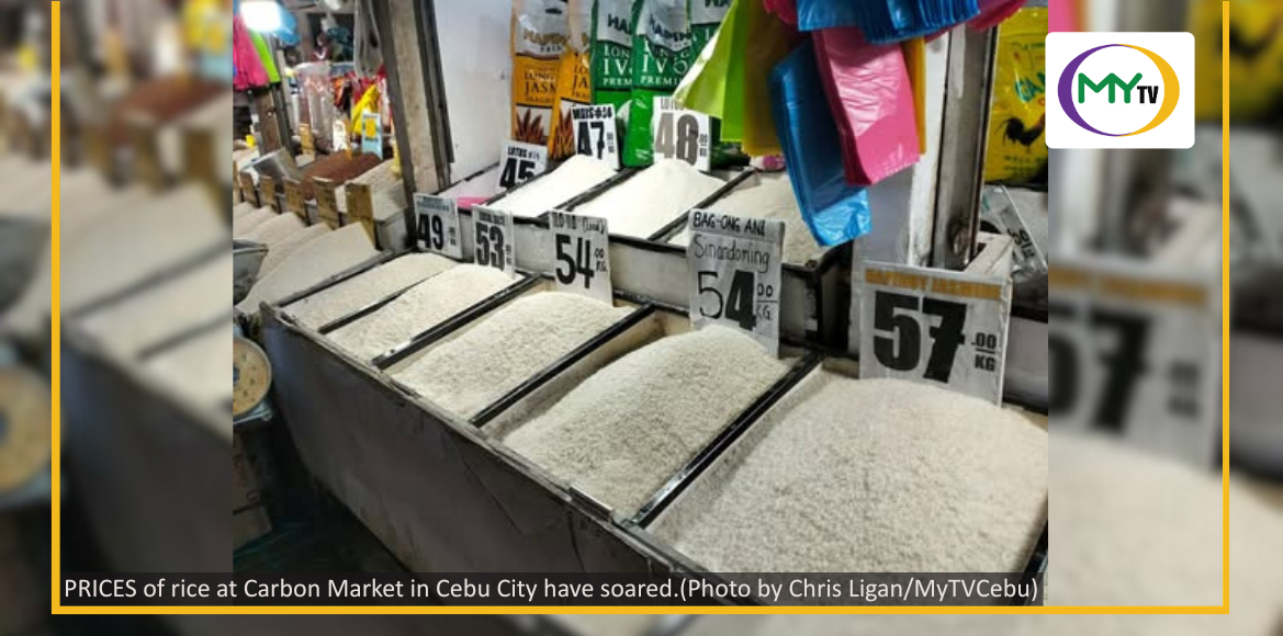 Rice price increase at Carbon not related to Mideast crisis - article image