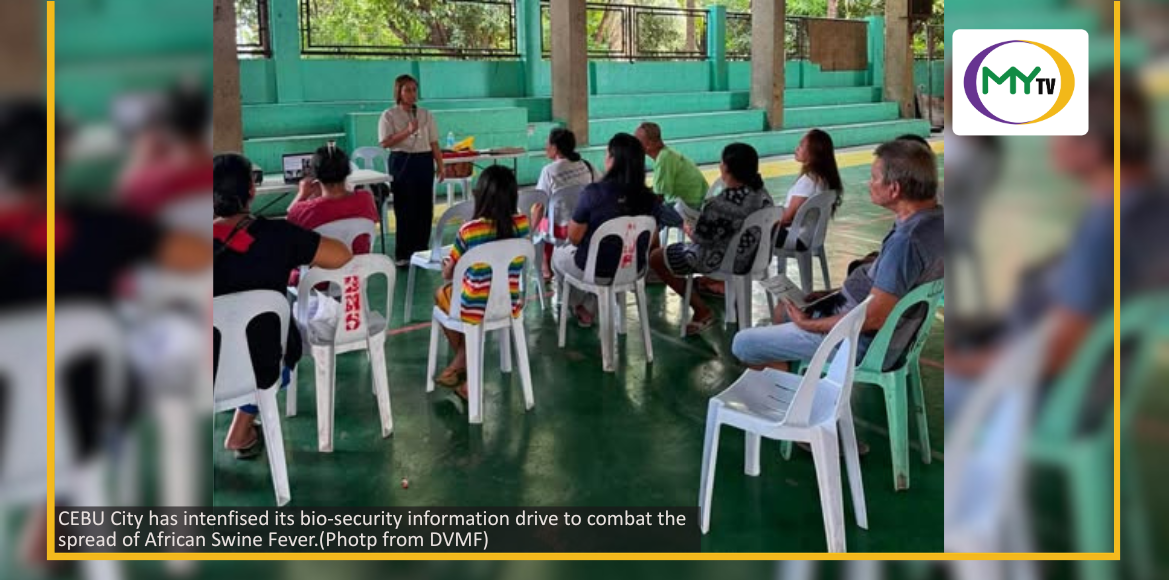 19 hogs culled as ASF hits Cebu City - related article thumbnail