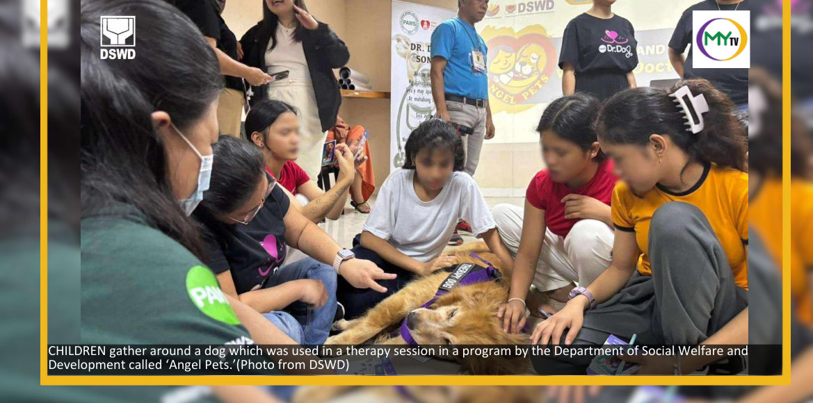 DSWD launches animal-assisted therapy for vulnerable groups - article image