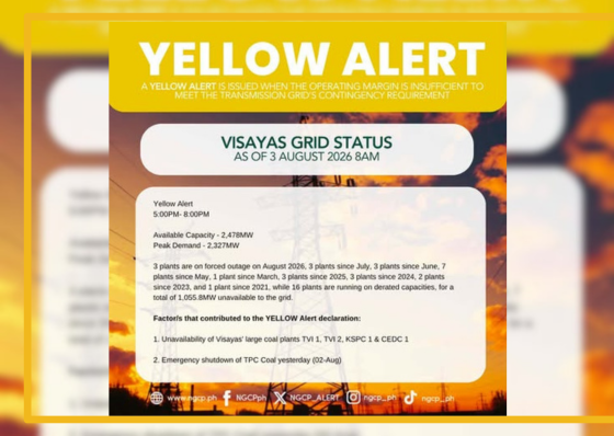 Visayas grid on thin reserves again as power plant outage triggers yellow alert - related article thumbnail