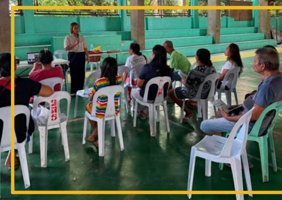19 hogs culled as ASF hits Cebu City - related article thumbnail