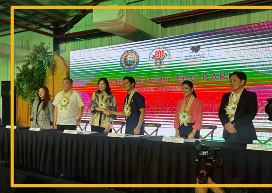 Trees will be replanted, retained in Mandaue eco-park project - related article thumbnail