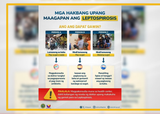 8 Metro Manila hospitals reach full capacity amid rising leptospirosis cases - related article thumbnail