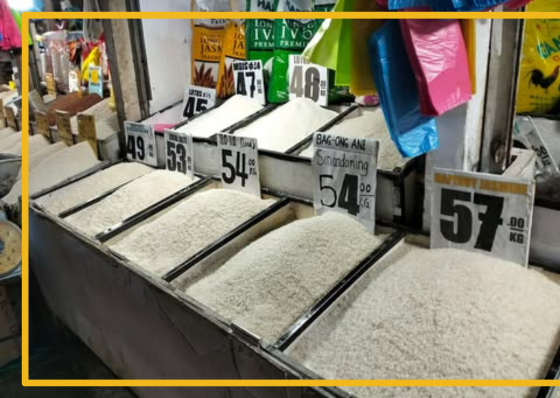 Rice price increase at Carbon not related to Mideast crisis - related article thumbnail