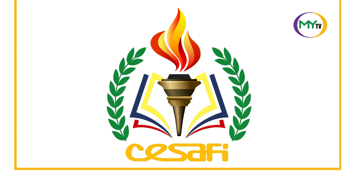 CIT-U, San Carlos score wins in Cesafi cage wars - related article thumbnail