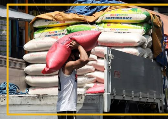 Cebu to roll out P360-million rice subsidy program  - related article thumbnail