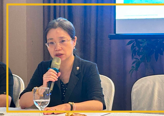 Chinese consul general in Cebu warns of consequences over Cebu's WPS resolution, Teodoro invitation - related article thumbnail