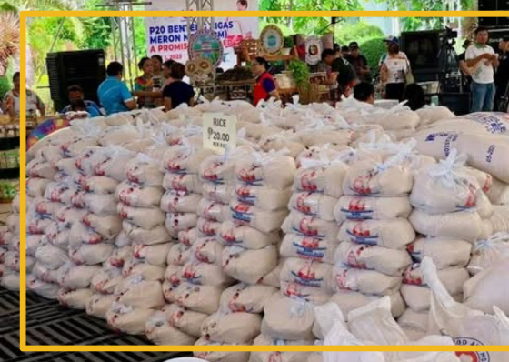 Cebu City Council urged to fast-track cheap rice program rollout  - related article thumbnail