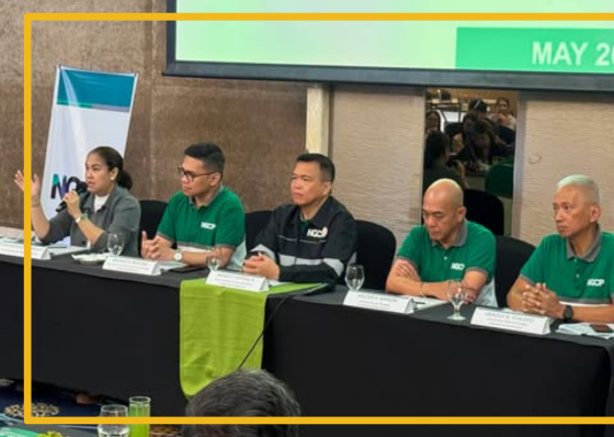 NGCP explains electricity bill breakdown - related article thumbnail