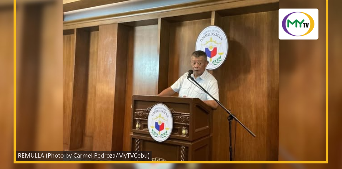 Ombudsman eyes digitalization, reforms to ease business in Cebu - related article thumbnail