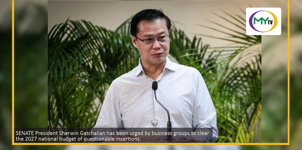 Who benefits? Business groups question billions in 2027 budget insertions - related article thumbnail