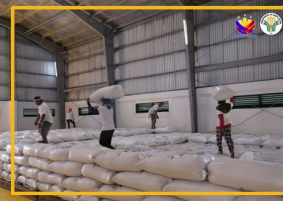 Soaring oil costs cause to rice prices to shoot up  - related article thumbnail