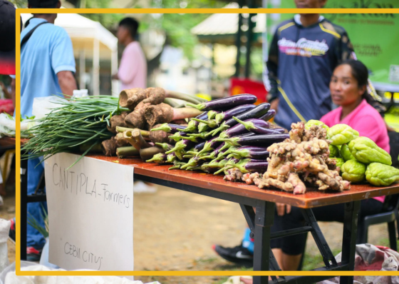 Cebu to roll out ‘People’s Food Centers’ - related article thumbnail
