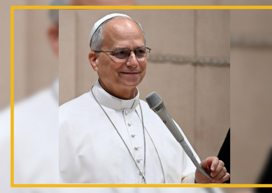 Pope Leo XIV back on his feet after lung surgery, doctors say - related article thumbnail