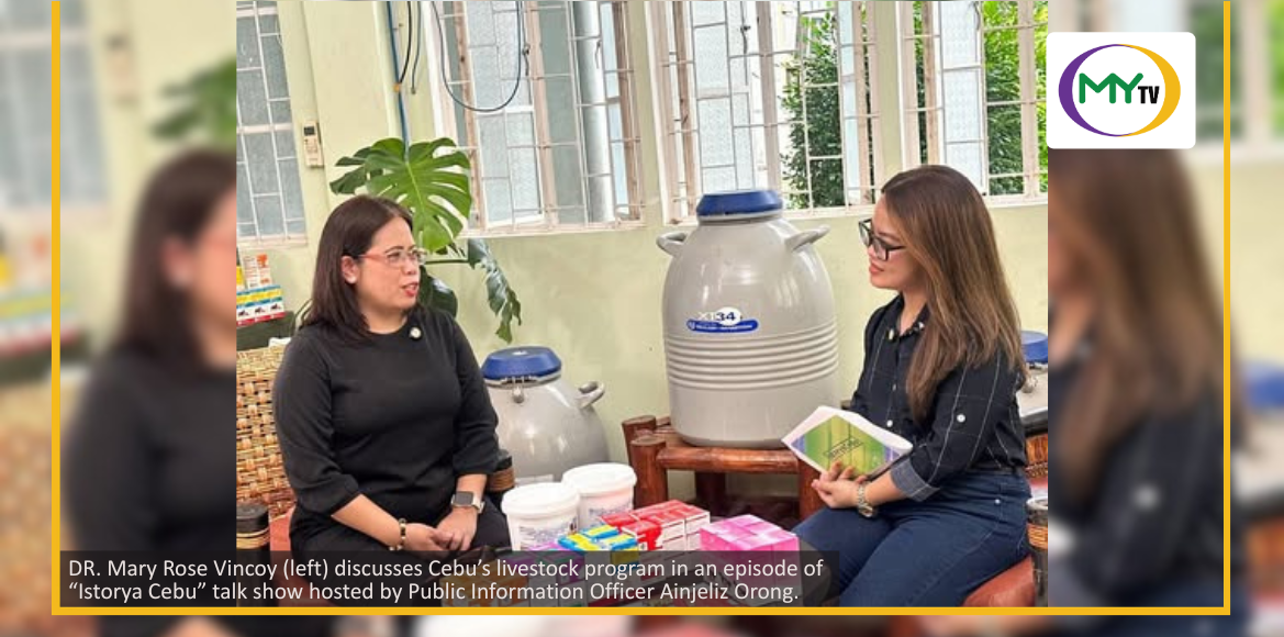 Cebu expands cattle breeding program, eyes future local Wagyu production - article image
