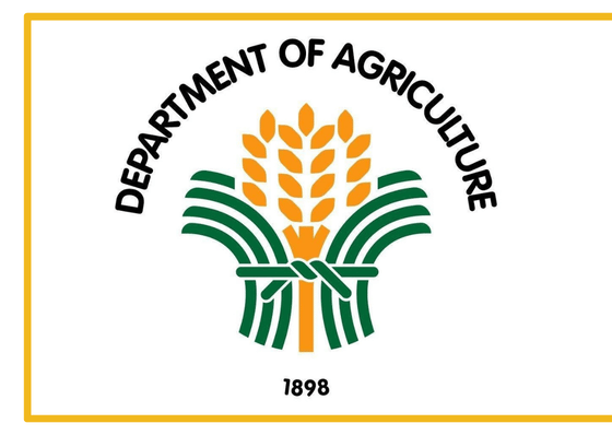 Rice bears brunt as monsoon, cyclones push agri losses to P2.32 billion - related article thumbnail