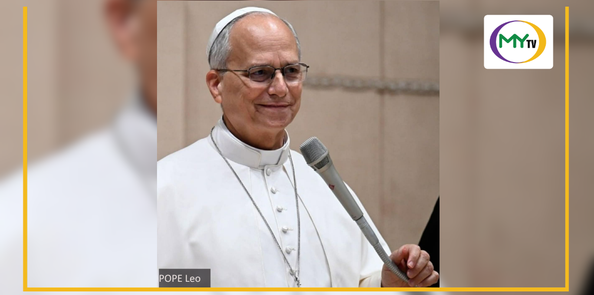 Pope Leo XIV back on his feet after lung surgery, doctors say - article image