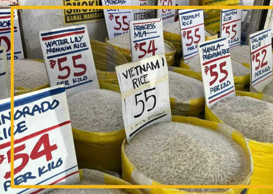 P20-rice may stay on the table until 2028 - related article thumbnail